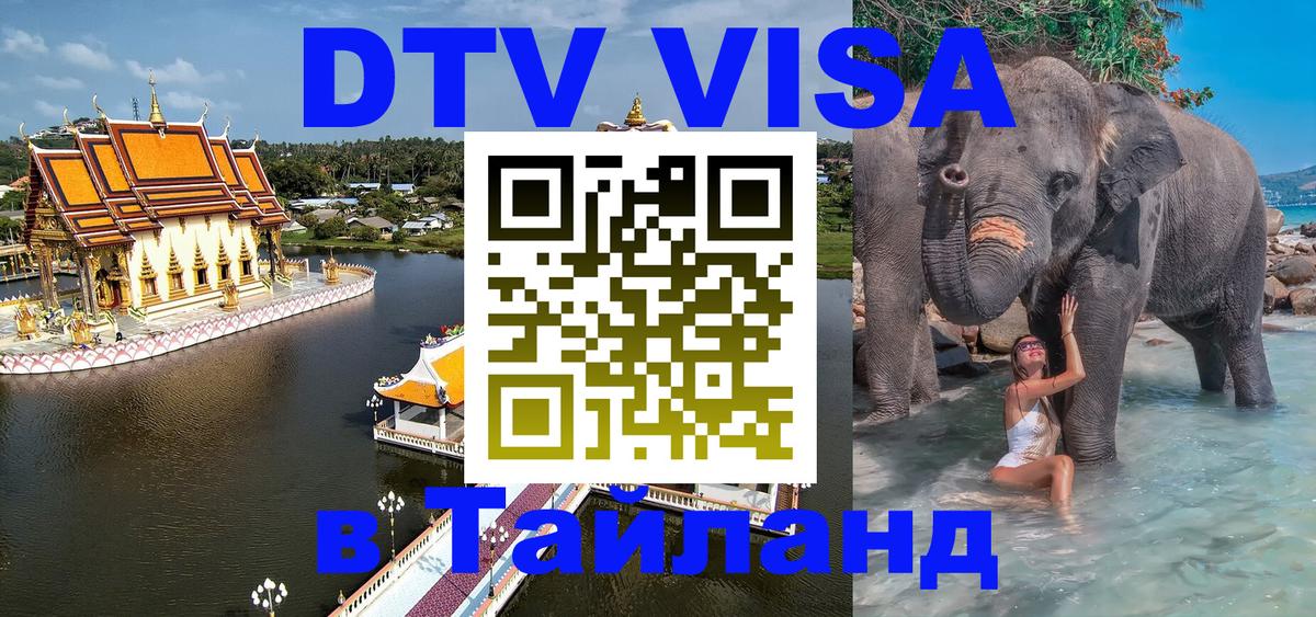 Сколько стоит DTV виза — актуальные цены, оформление даже без документов - 